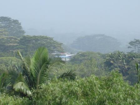 Hilo Vog